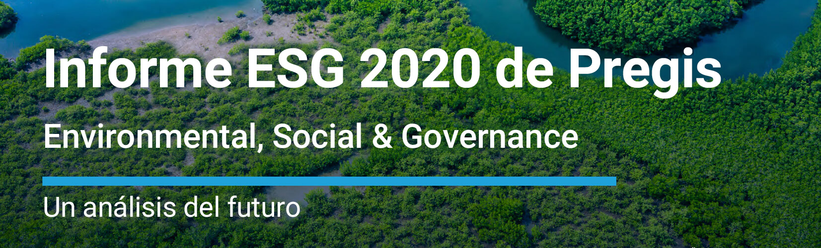 Informe ESG 2020 de Pregis